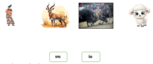 Nối đúng ảnh với vần (ảnh 1)