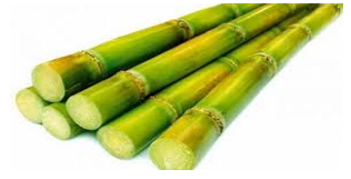 Điền vào chỗ trống.   bó ………..  A. đĩa B. may C. mía (ảnh 1)