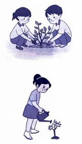 A child planting a tree

AI-generated content may be incorrect.