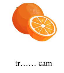 Điền vần thích hợp vào chỗ trống (ảnh 1)