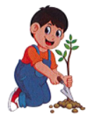 Huy có trồng một cay xà cừ. Lúc mới trồng, cây chỉ cao 66 cm, thấp hơn Huy 12 cm. a. Hỏi lúc mới trồng cây, Huy cao bao nhiêu xăng-ti-mét? (ảnh 1)