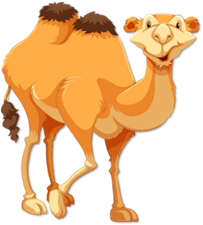 A cartoon camel with black background

AI-generated content may be incorrect.