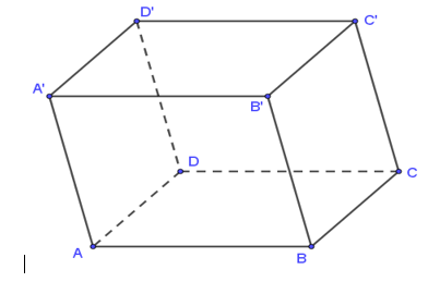 Cho hình hộp ABCD.A'B'C'D' (Hình vẽ sau) (ảnh 1)