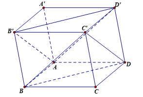 Cho hình hộp ABCD.A'BC'D'Mặt phẳng AB'D' song song với mặt phẳng nào sau đây (ảnh 1)