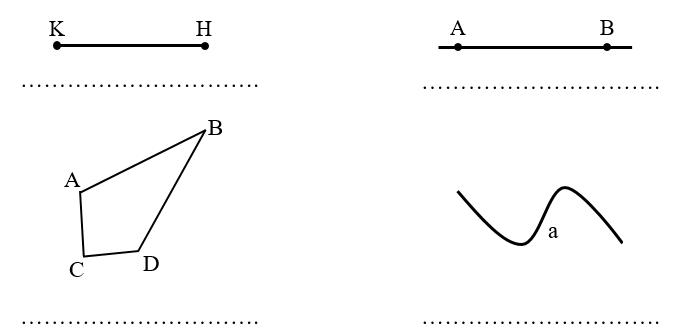 Điền tên gọi thích hợp với mỗi hình: (ảnh 1)