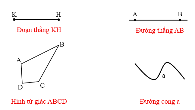 Điền tên gọi thích hợp với mỗi hình: (ảnh 2)