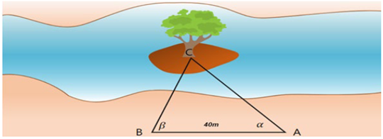 Tính khoảng cách từ A đến gốc cây C trên cù lao (làm tròn đến hàng phần trăm). (ảnh 1)