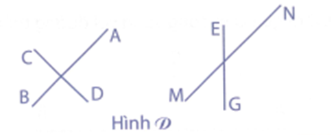 Trong hình D có - Đường thẳng CD vuông góc với đường thẳng AB. (ảnh 1)