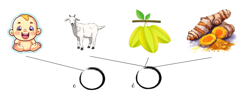 Nối đúng Nối đúng (ảnh 2)