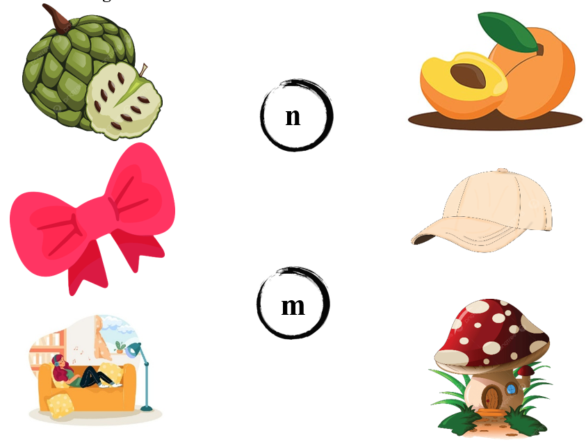 Nối đúng: n m (ảnh 1)