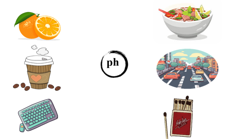 Nối đúng: ph (ảnh 1)