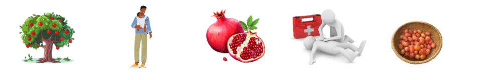 Điền đúng: trĩu quả. (ảnh 1)