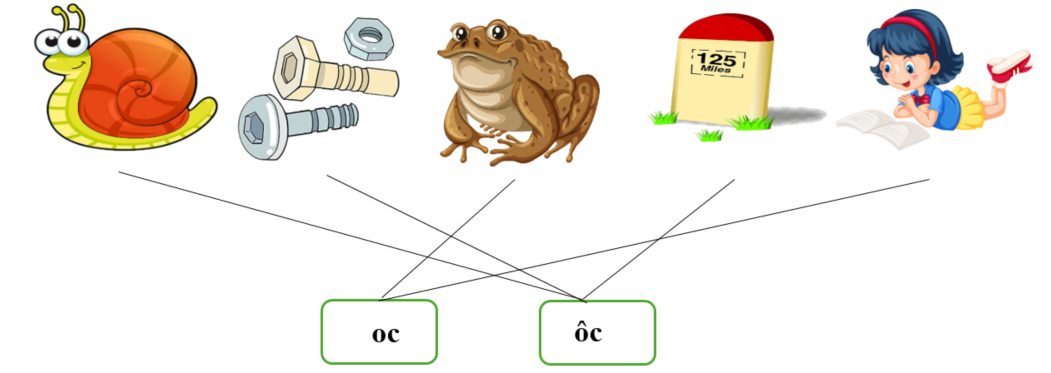 Nối đúng: oc ôc (ảnh 2)