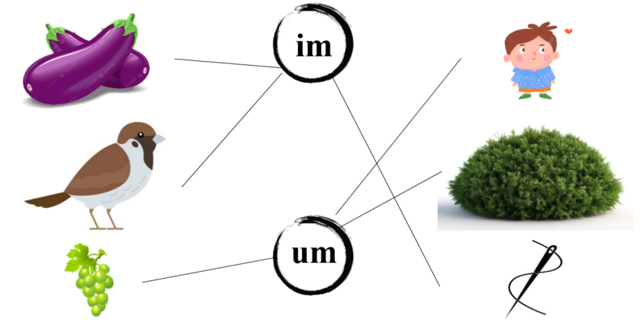 Nối đúng: im um (ảnh 2)