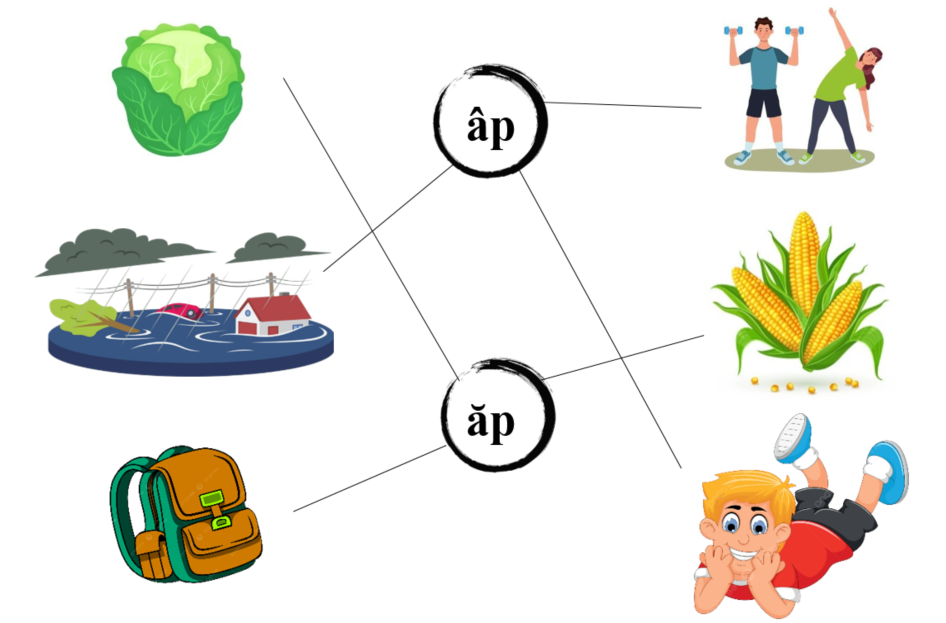 Nối đúng: âp ăp (ảnh 2)
