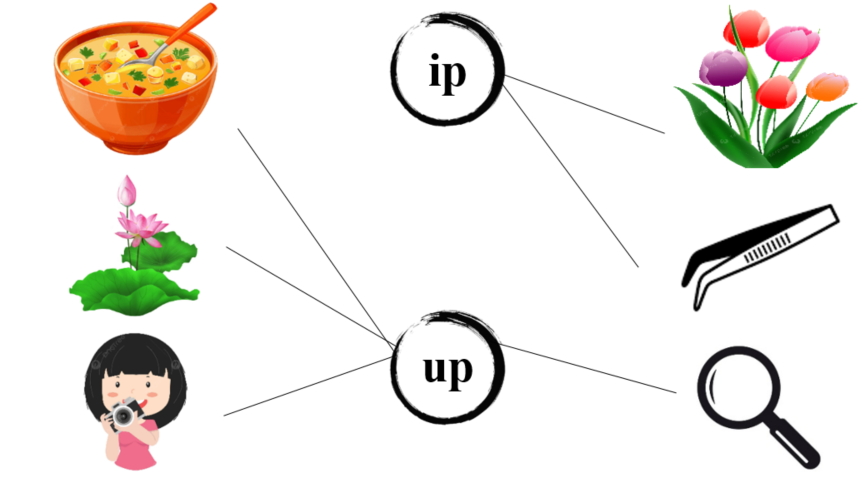 Nối đúng ip up (ảnh 2)