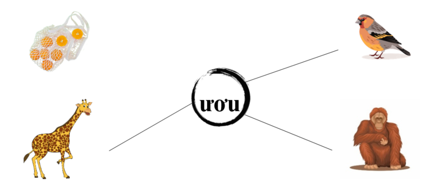 Nối đúng: ươu (ảnh 2)