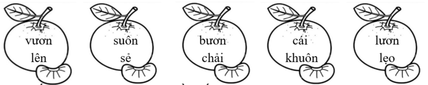 Tô màu xanh lá vào tiếng chứa vần “uôn”, màu xanh dương vào tiếng chứa vần “ươn”: (ảnh 1)