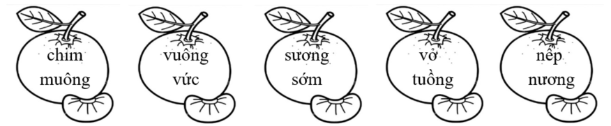 Tô màu xanh lá vào tiếng chứa vần “uông”, màu xanh dương vào tiếng chứa vần “ương”: (ảnh 1)