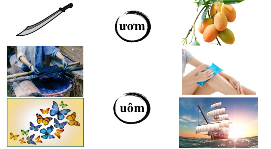 Nối đúng: ươm uôm (ảnh 1)