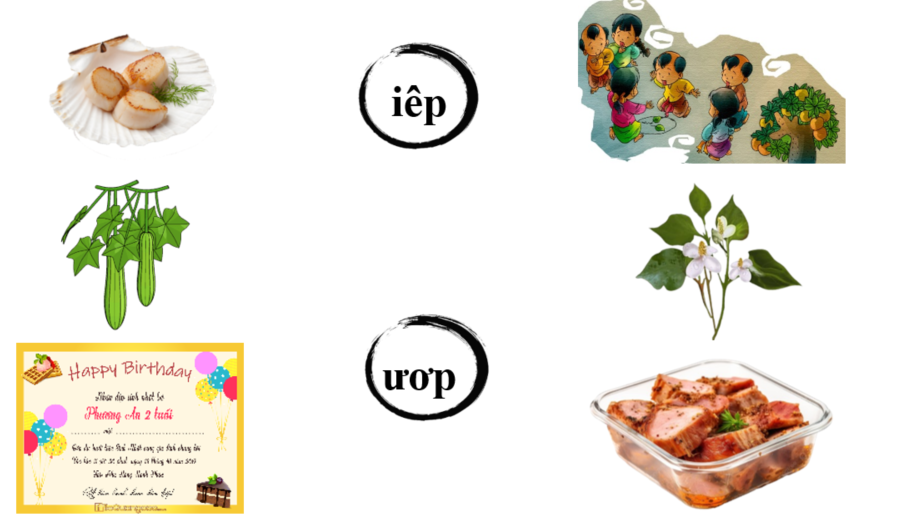 Nối đúng: iep uop (ảnh 1)