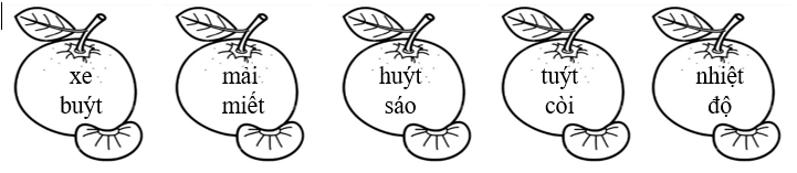 Tô màu xanh lá vào tiếng chứa vần “uyt”, màu xanh dương vào tiếng chứa vần “iêt”: (ảnh 1)