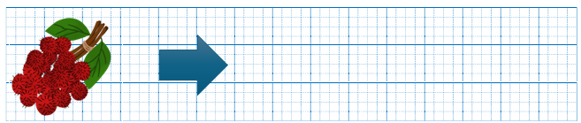 Đây là gì? (ảnh 1)