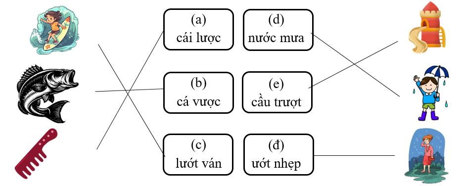 Nối đúng: cái lược (ảnh 2)