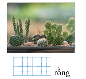 Điền vào chỗ trống: (ảnh 1)
