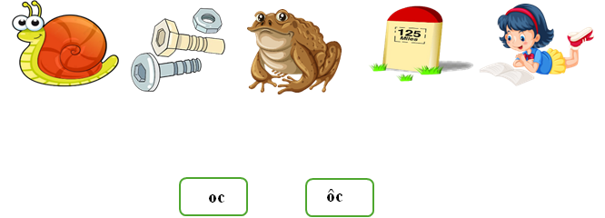 Nối đúng oc ôc (ảnh 1)