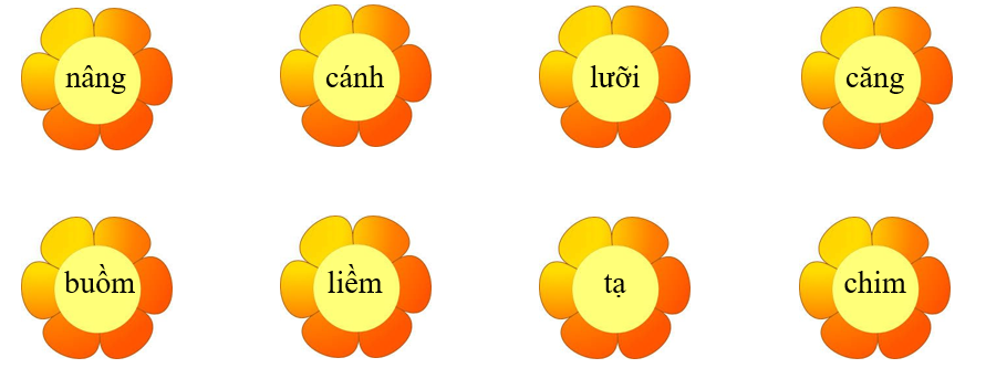 Nối đúng rồi viết lại từ ngữ: (ảnh 1)