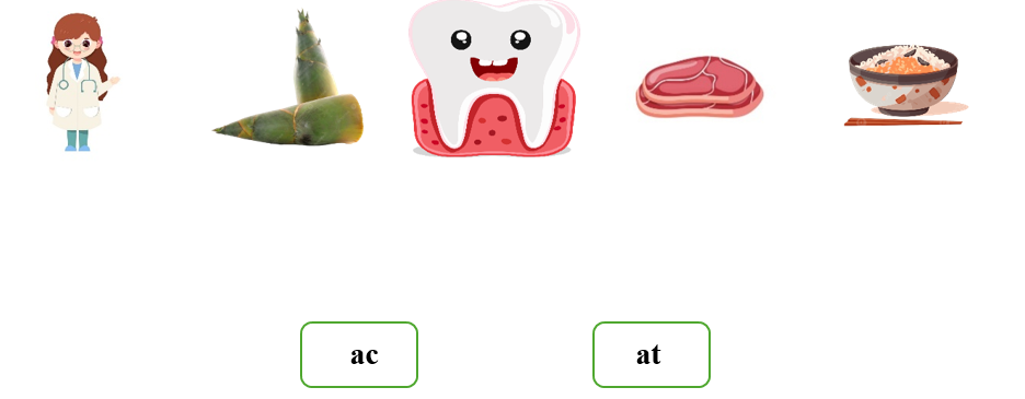 Nối đúng: ac at (ảnh 1)