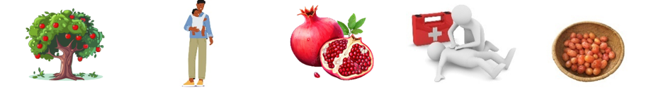 Điền đúng: các hình ảnh (ảnh 1)