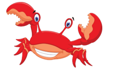 Em hãy khoanh vào chữ cái trước từ ngữ thích hợp để hoàn thành các câu sau: (ảnh 1)