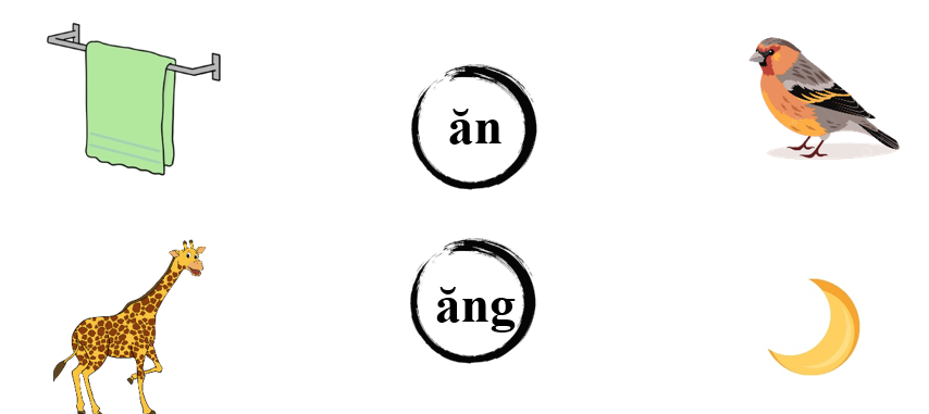 Nối đúng: ăn ăng (ảnh 1)