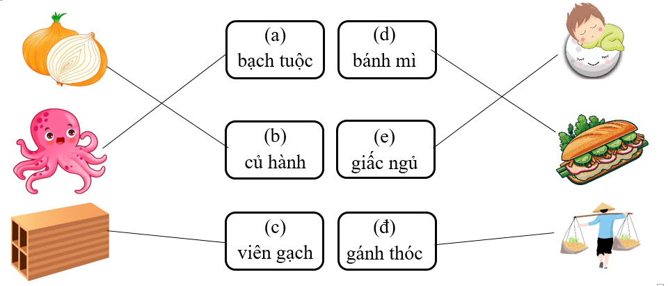 Nối đúng: các từ vào hình ảnh (ảnh 2)