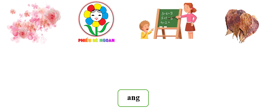 Nối đúng: ang (ảnh 1)