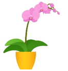 Em hãy khoanh vào chữ cái trước từ ngữ thích hợp để hoàn thành các câu sau: (ảnh 1)