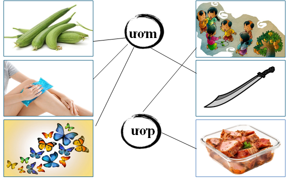 Nối đúng: ươm ươp (ảnh 2)