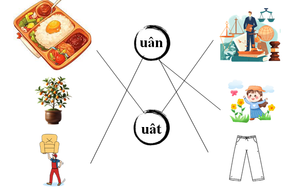 Nối đúng: uân uât (ảnh 2)