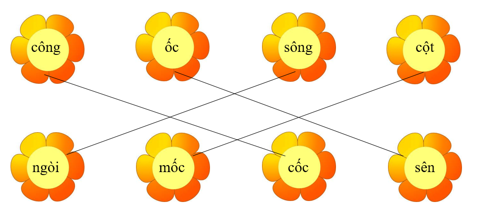 Nối đúng: các từ sau (ảnh 2)