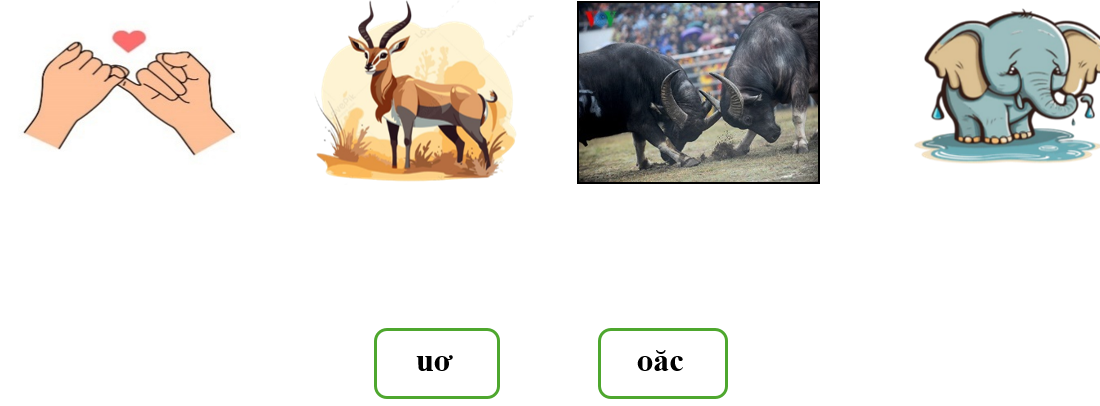 Nối đúng: ươ (ảnh 1)