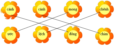 Nối đúng rồi viết lại từ ngữ: (ảnh 2)