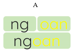 Chọn mô hình đúng của từ “choàng” (ảnh 1)