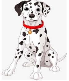 Điền vào chỗ trống.   chó ……… (ảnh 1)