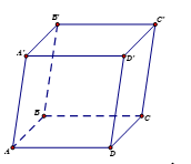 Cho hình hộp ABCD.A'B'C'D' Hình chiếu của điểm B' lên mặt phẳng ABCD theo phương chiếu AA' là (ảnh 1)