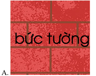 Chọn từ viết đúng (ảnh 1)