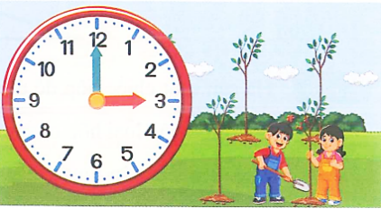 Chiều nay, hai chị em Hà và Huy giúp bố trồng 5 cây nhãn. Hai chị em mất 6 phút để trồng xong một cây nhãn.  a. Hỏi Hà và Huy trồng hết số cây nhãn đó trong bao lâu? (ảnh 3)