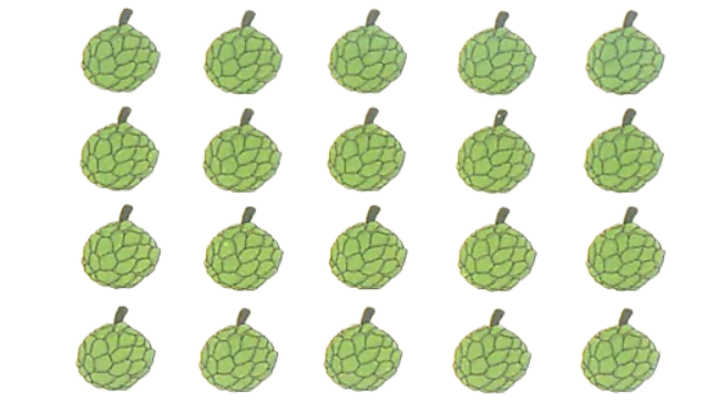 Số ?  1/2 số quả na là ….. quả na.  1/5 số quả na là ….. quả na. (ảnh 1)