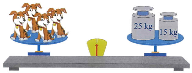 4 con chó của gia đình Hoa có cân nặng  như bức tranh. Các con chó cân nặng như nhau. Vậy mỗi con chó cân nặng là: (ảnh 1)